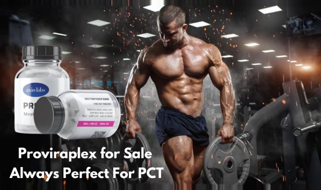 Why Bodybuilders Have to Be Serious about Proviraplex for Sale