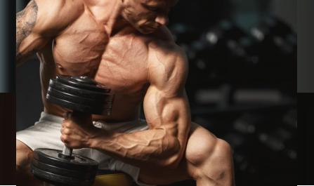 Tips for Purchasing Steroids Online: Things to Know Before You Buy