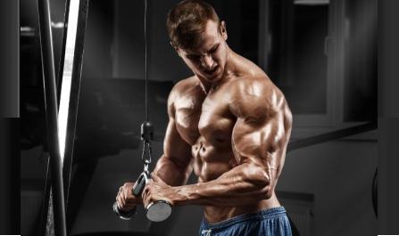 What Is A Natural Steroid And How It Uses?