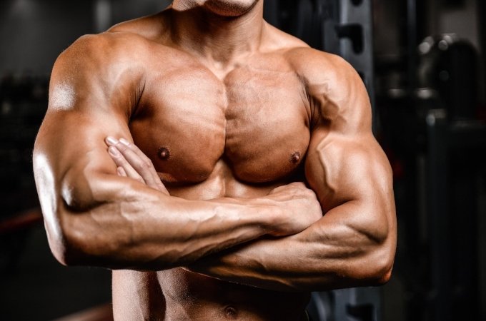 What ingredients and components steroids are known to have?
