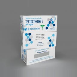 Testosterone E 10ml - Testosterone Enanthate - Ice Pharmaceuticals