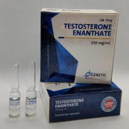 Testosterone Enanthate (Genetic)